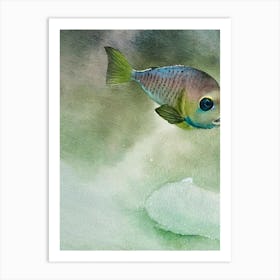 Barreleye Fish II Storybook Watercolour Art Print