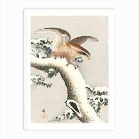 Eagle On A Tree Branch (1887 1930), Ohara Koson Art Print