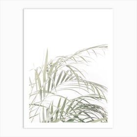 Leafy Fern Art Print