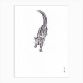 White Tip Of Tail Art Print