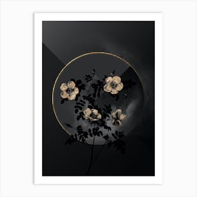 Shadowy Vintage White Candolle's Rose Botanical in Black and Gold n.0168 Art Print