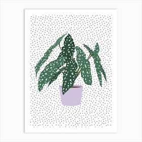 Polka Dot Begonia Houseplant Art Print