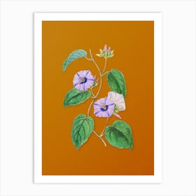 Vintage Hoary Jacquemontia Flower Botanical on Sunset Orange n.0825 Art Print