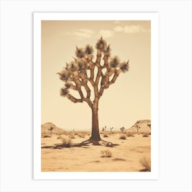  Photograph Of A Joshua Tree In A Sandy Desert 1 Art Print