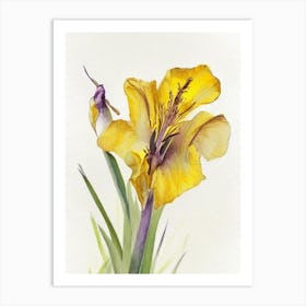 Yellow Flag Iris Wildflower Watercolour 2 Art Print