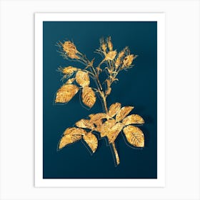 Vintage Evrat's Rose with Crimson Buds Botanical in Gold on Teal Blue n.0140 Art Print