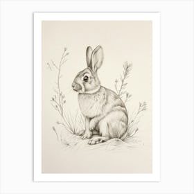 Mini Rex Rabbit Drawing 3 Art Print
