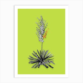 Vintage Adams Needle Black and White Gold Leaf Floral Art on Chartreuse n.0106 Art Print