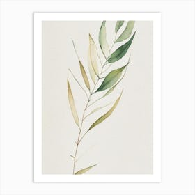 Willow Leaf Minimalist Watercolour 2 Art Print