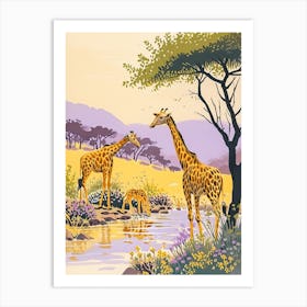 Giraffes Drinking From A Watering Hole Art Print