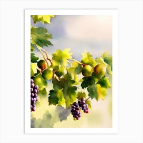 Grapes Italian Watercolour fruit Art Print