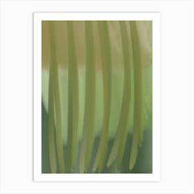Ferns Art Print