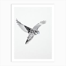 Great Horned Owl B&W Pencil Drawing 1 Bird Art Print
