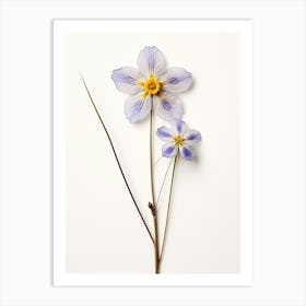 Pressed Wildflower Botanical Art Blue Eyed Grass 1 Art Print