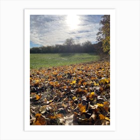 Autumn Leaves In A Field 2 Art Print