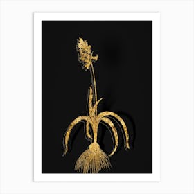Vintage Common Bluebell Botanical in Gold on Black n.0176 Art Print
