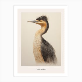 Vintage Bird Drawing Cormorant 1 Poster Art Print