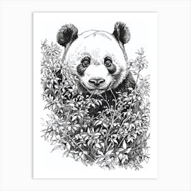 Giant Panda Hiding In Bushes Ink Illustration 1 Art Print