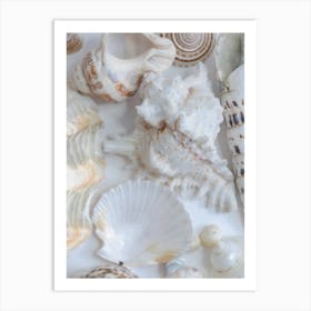 Sea Shells Art Print