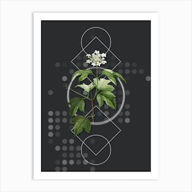 Vintage Guelder Rose Botanical with Geometric Line Motif and Dot Pattern n.0335 Art Print