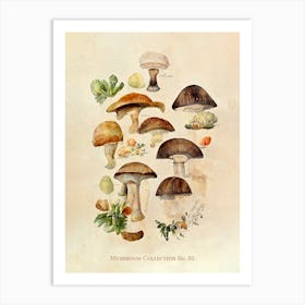 Mushroom Collection 01 Art Print