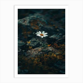 Rizwanakhan The Last Flower 25 Art Print