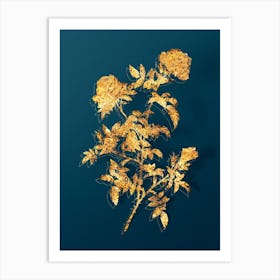 Vintage Rose of the Hedges Botanical in Gold on Teal Blue Art Print