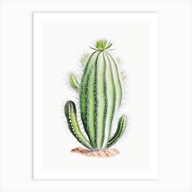 Rhipsalis Cactus Marker Art 2 Art Print