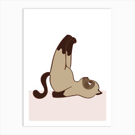 Siamese Cat Poster