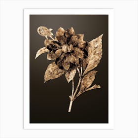 Gold Botanical Double Dahlias on Chocolate Brown n.2525 Art Print