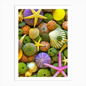 Seashells Art Print