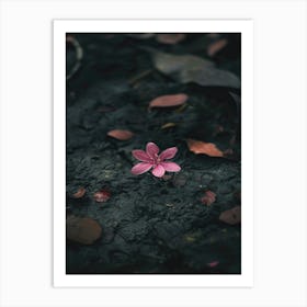 Pink Flower On The Ground Art Print