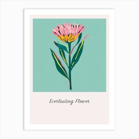 Everlasting Flower Square Flower Illustration Poster Art Print