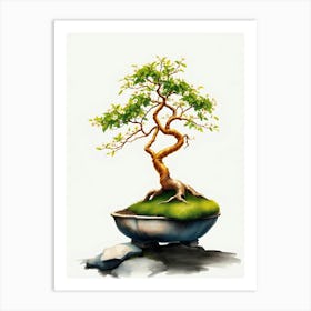 Bonsai Tree 8 Art Print