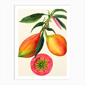 Dragonfruit Watercolour Fruit Painting Fruit Art Print