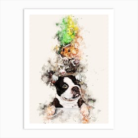 Boston Terrier Art Print