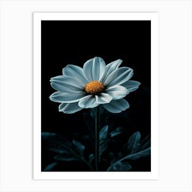 White Daisy 4 Art Print