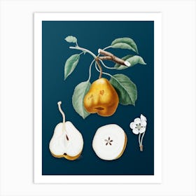 Vintage Pear Botanical Art on Teal Blue n.0055 Art Print