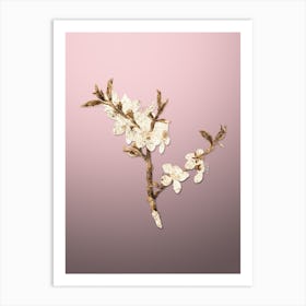 Gold Botanical Almond Tree Flower on Rose Quartz n.4661 Art Print