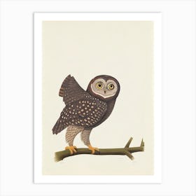 Owl Illustration Bird Art Print