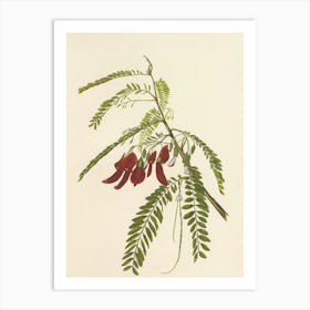 Plant With Red Flowers Art Print