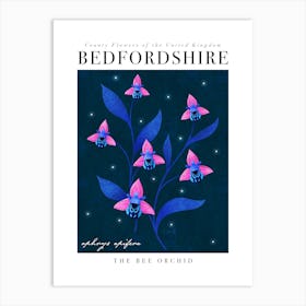 County Flower of Bedfordshire Bee Orchid Art Print