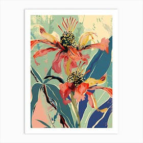 Colourful Flower Illustration Bee Balm 4 Art Print