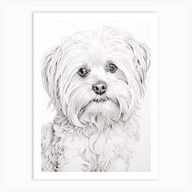Maltese Dog, Line Drawing 1 Art Print
