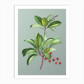 Vintage Greek Strawberry Tree Botanical Art on Mint Green Art Print