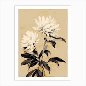 Chrysanthemum Ink On Paper Drawing 0 Art Print