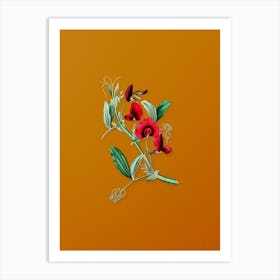 Vintage Tangier Pea Flower Botanical on Sunset Orange n.0738 Art Print