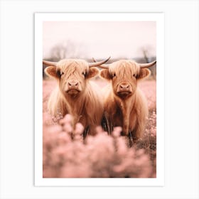 Portrait Of Two Highland Cows In The Field Pink Realistic Photography 3 Art Print