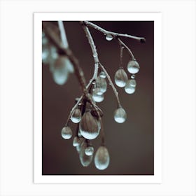 Dripping Leafs Art Print