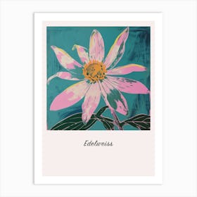 Edelweiss Square Flower Illustration Poster Art Print